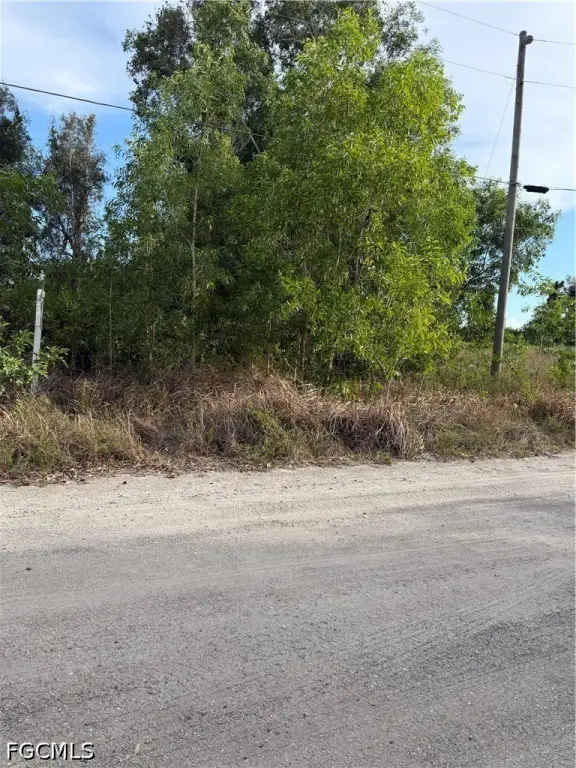 Picture 6