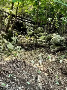 Yellville Wooded Acres Near Buffalo