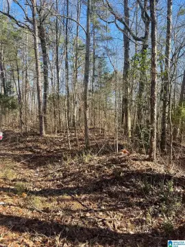 Highway 78 Commercial Land