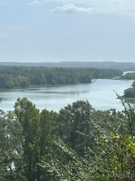 Waterfront Lot on Lake Dannelly