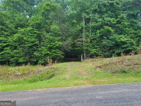 Ellijay Land with Mountain Views
