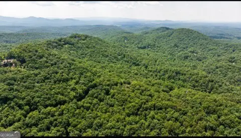 Ellijay, GA Wooded Lot