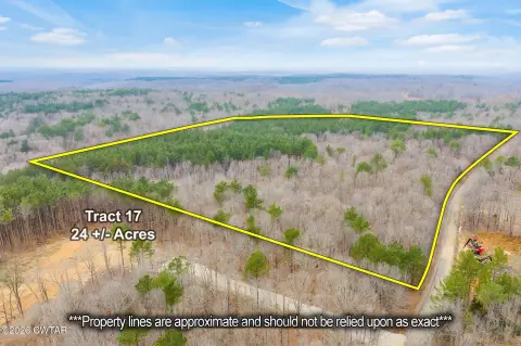 Land Opportunity in Holladay, TN