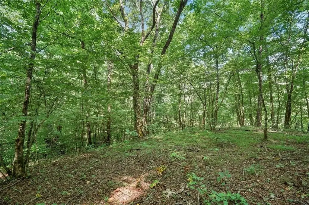 Picture 17