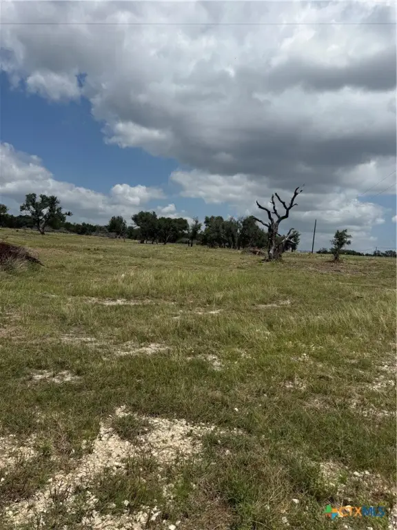 Picture 9
