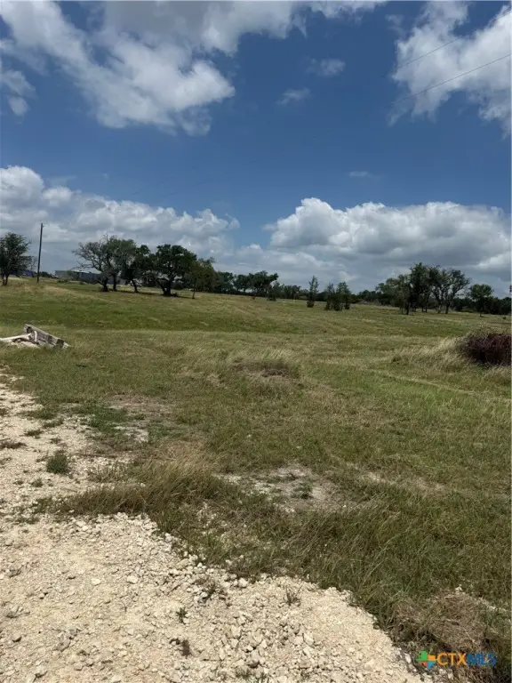 Picture 11