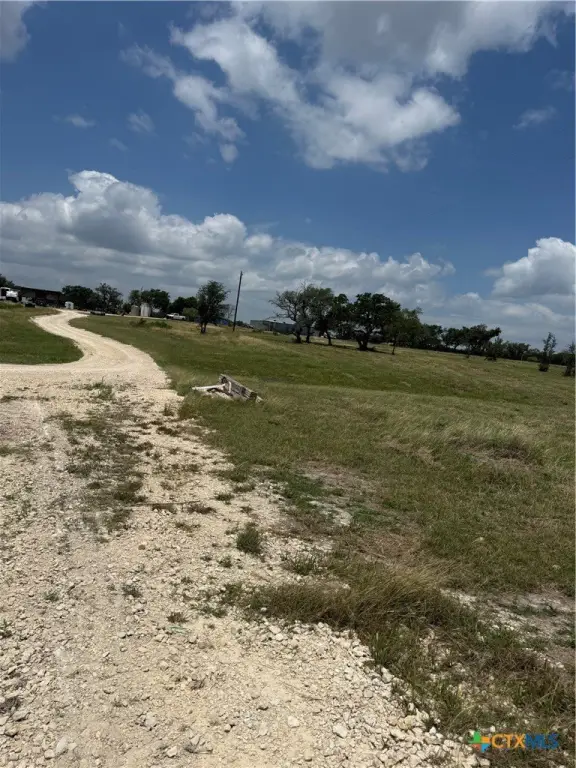 Picture 12