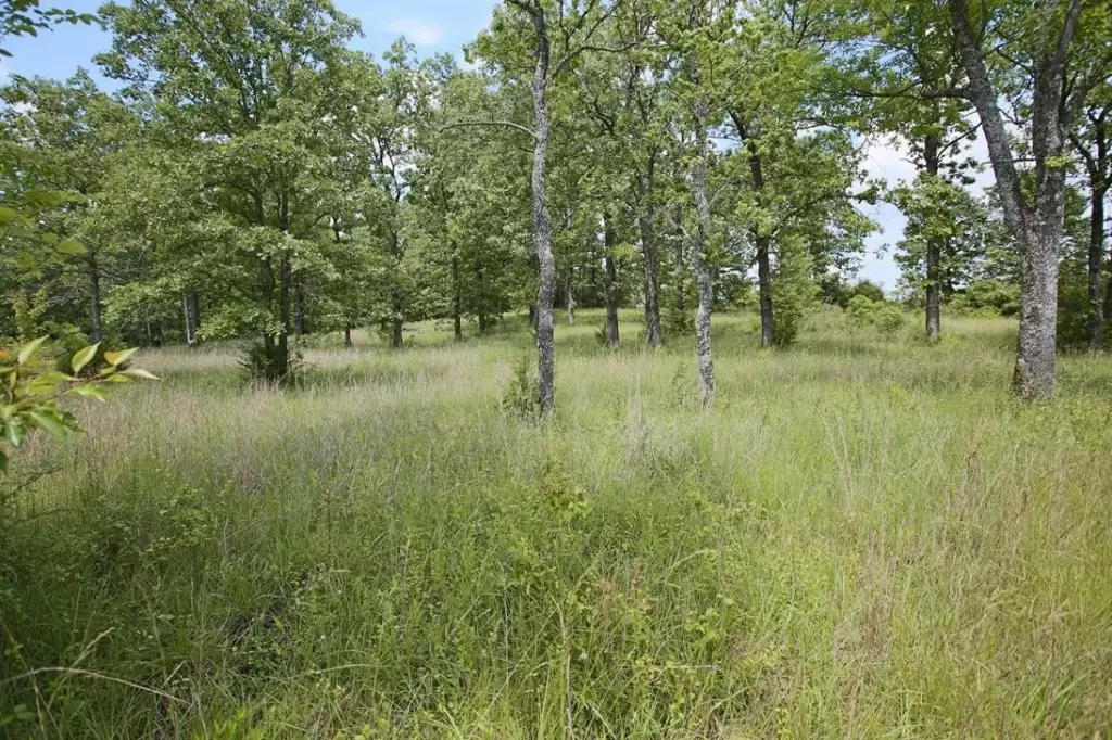 Picture 15