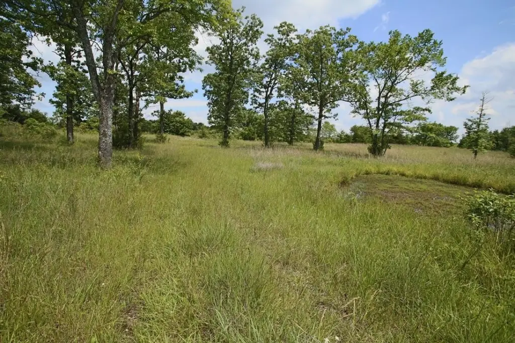 Picture 16