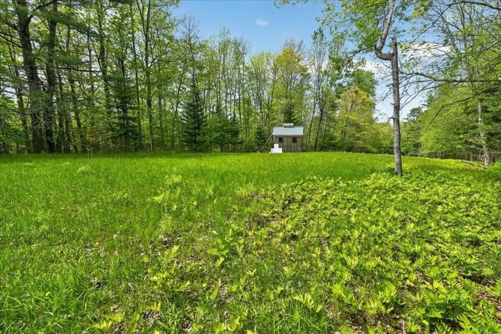 Picture 11