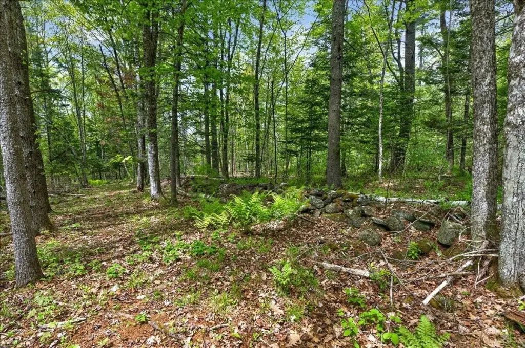 Picture 21