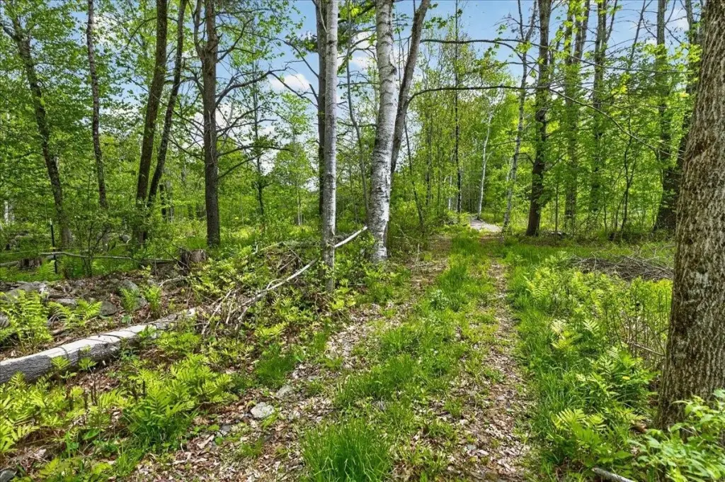 Picture 7