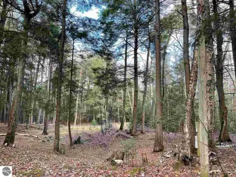 Beaver Island Vacant Land