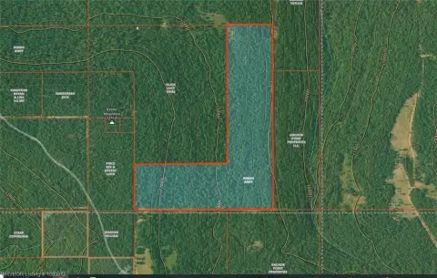 60 Acres Hunting Land Near Arkansas