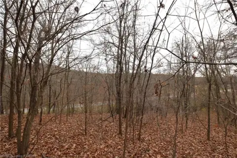 Scenic Land Near Lake Tenkiller