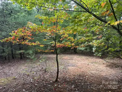 Wooded Mountain Homesite in Nebo
