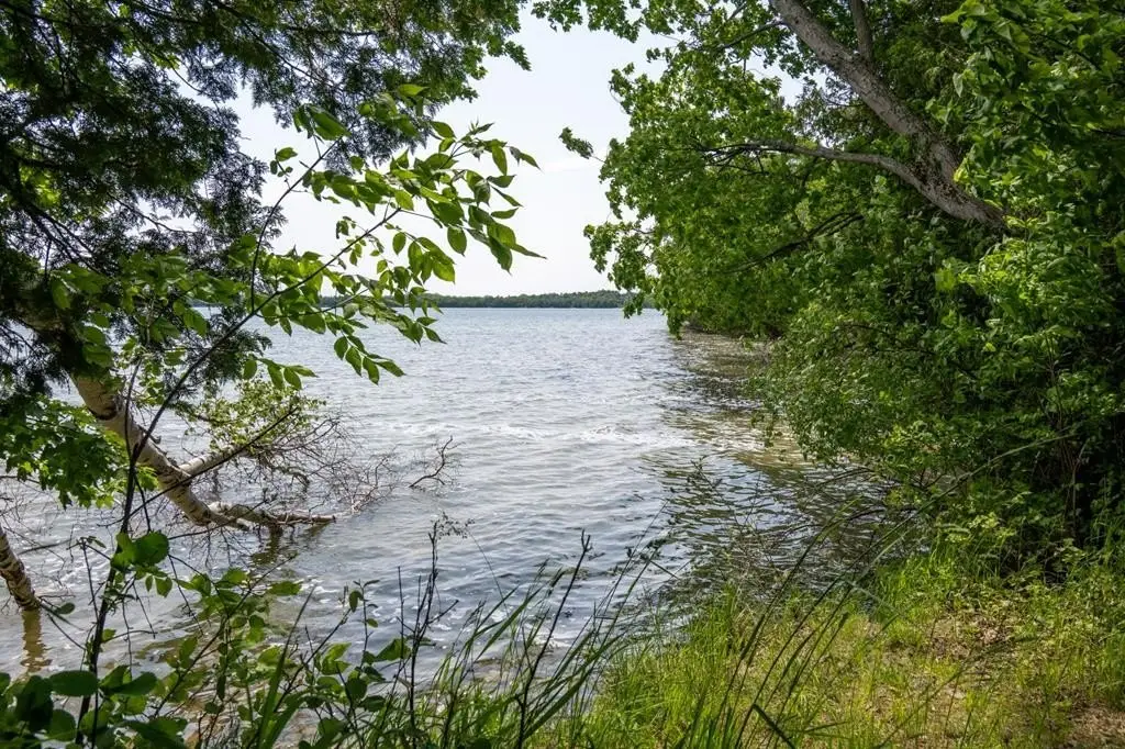 Picture 9