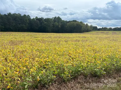 Olin, NC Farmland Opportunity