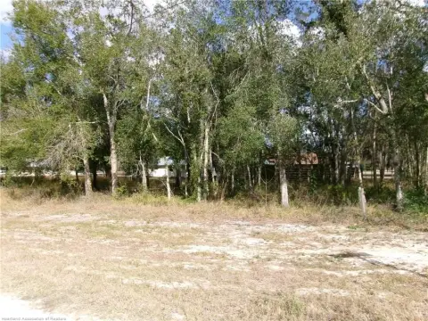 Residential Lot in Avon Park