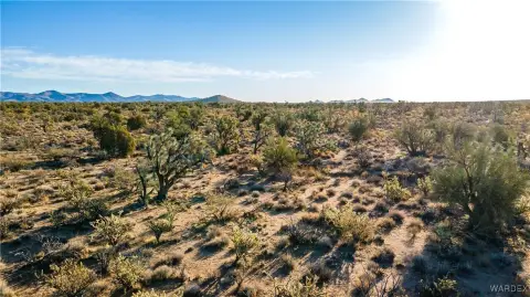 40 Acres in Yucca, AZ