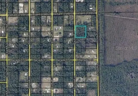 Spacious Land in Flagler Estates
