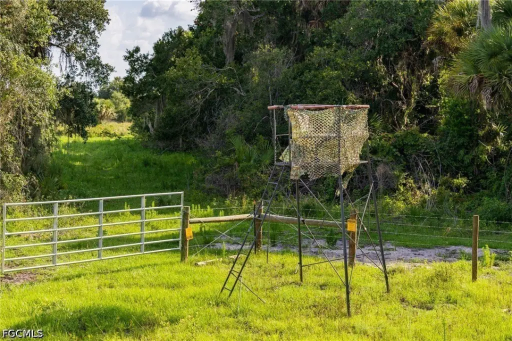Picture 24