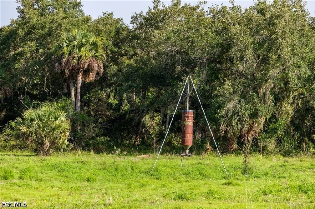 Picture 23