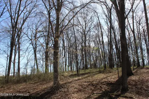 Residential Lot in Olive Branch