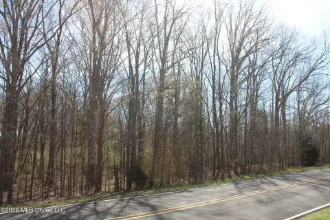 Residential Lot in Olive Branch