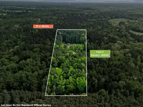 Heavily Wooded Land in Gilmer