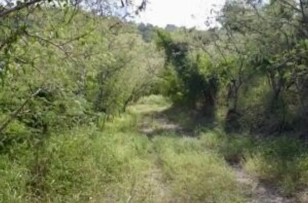 Picture 13