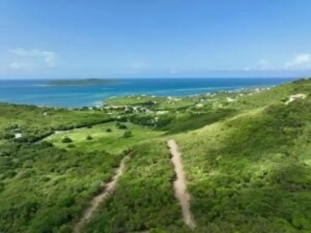Picture 4
