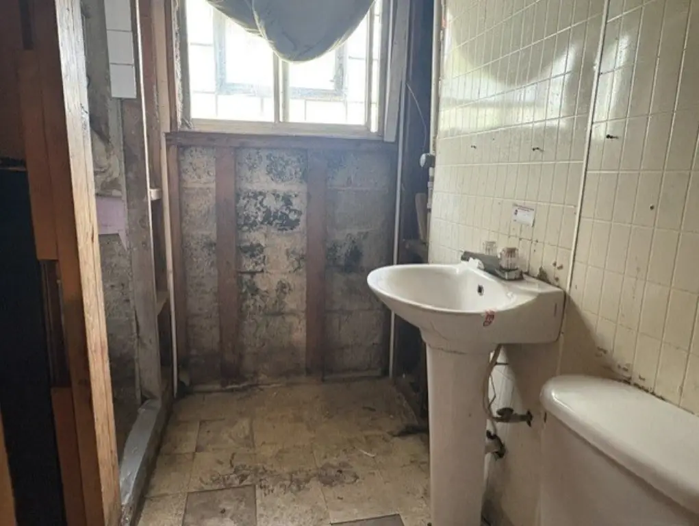 Picture 18