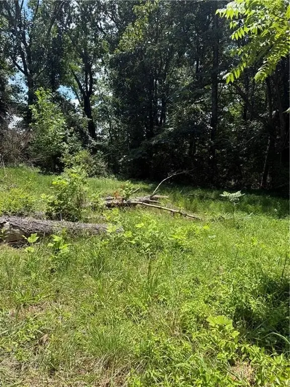 Picture 11
