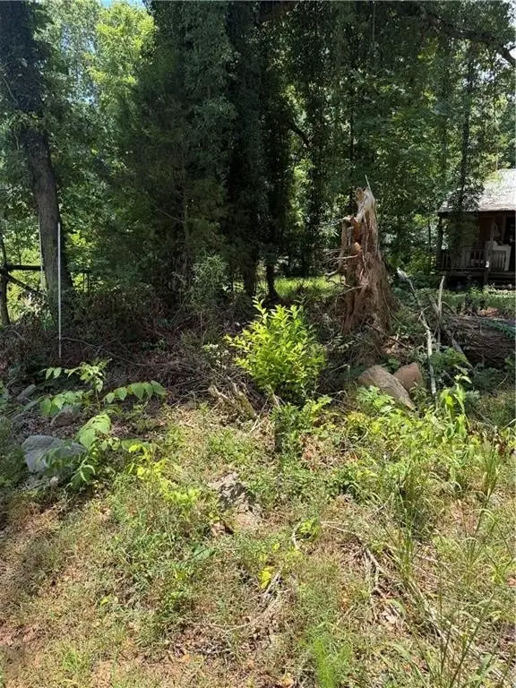 Picture 14
