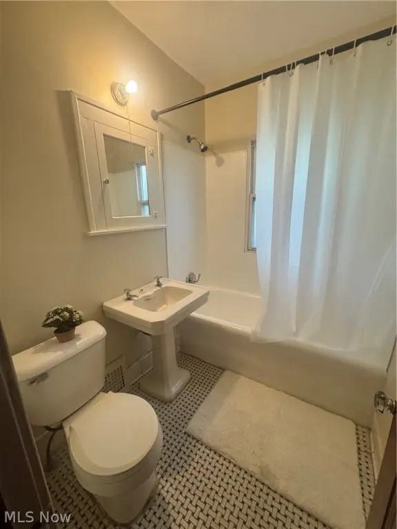 Picture 7