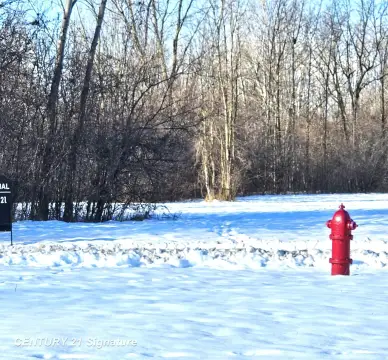 Saginaw Vacant Commercial Land