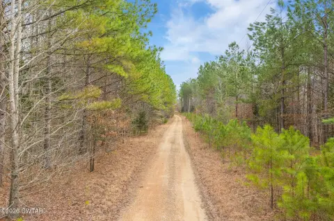 Unrestricted Wooded Tract Near Lake