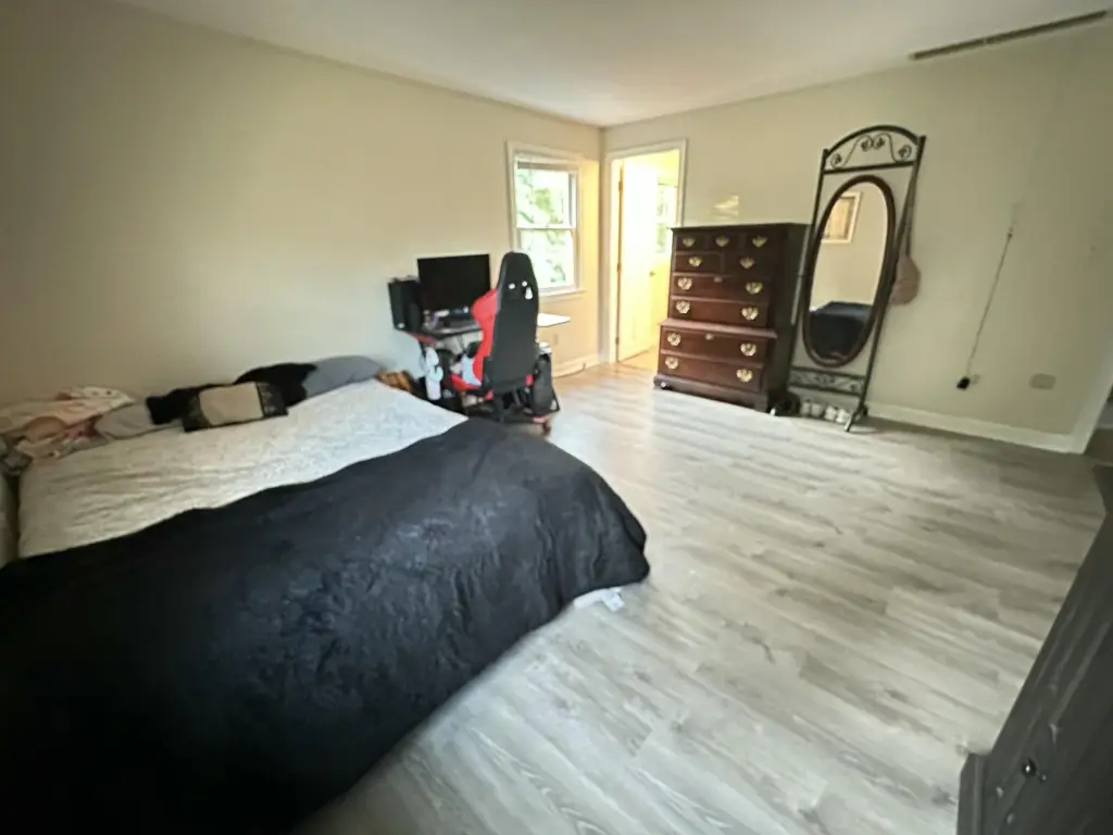 Picture 42