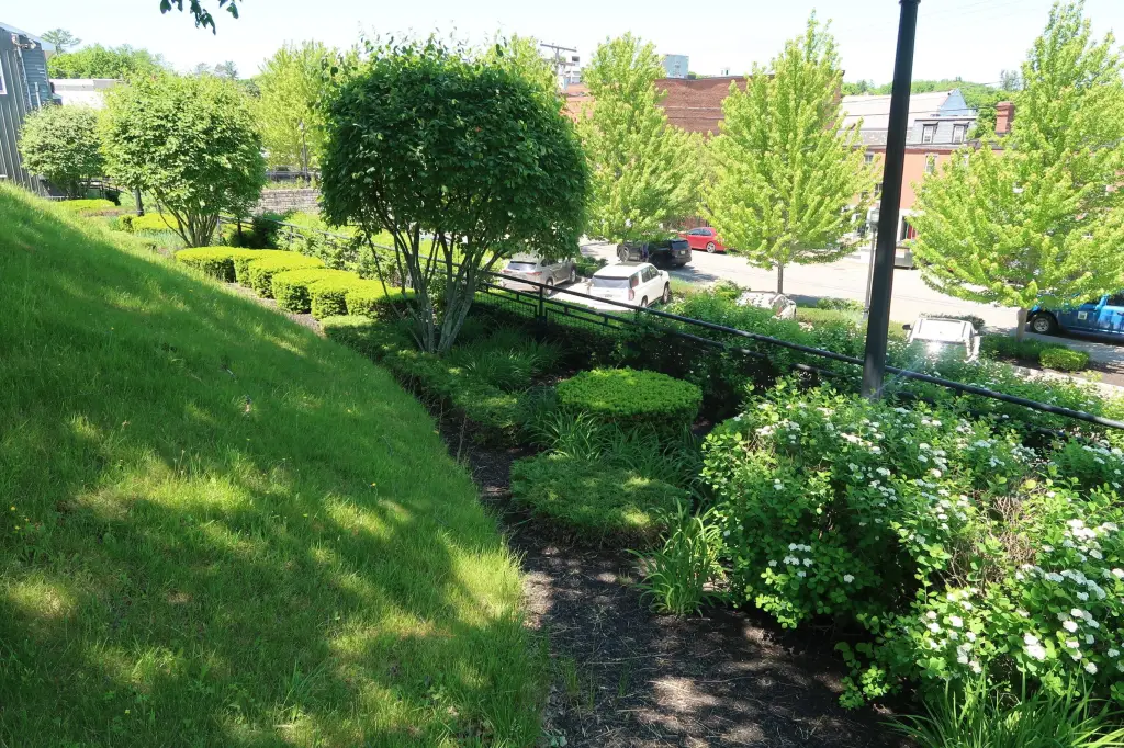Picture 11