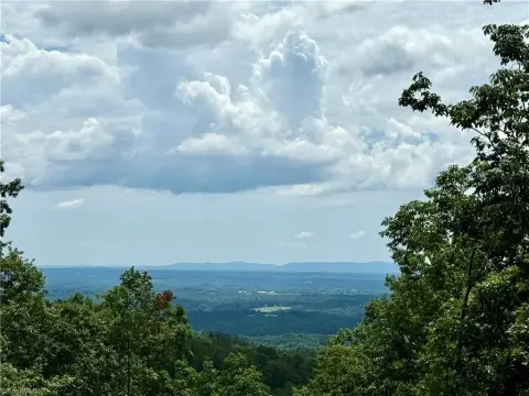 Secluded Land in McGrady, NC