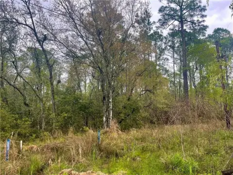 Undeveloped Lots in Coden, Alabama