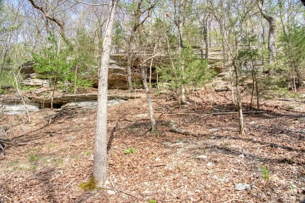 Picture 9