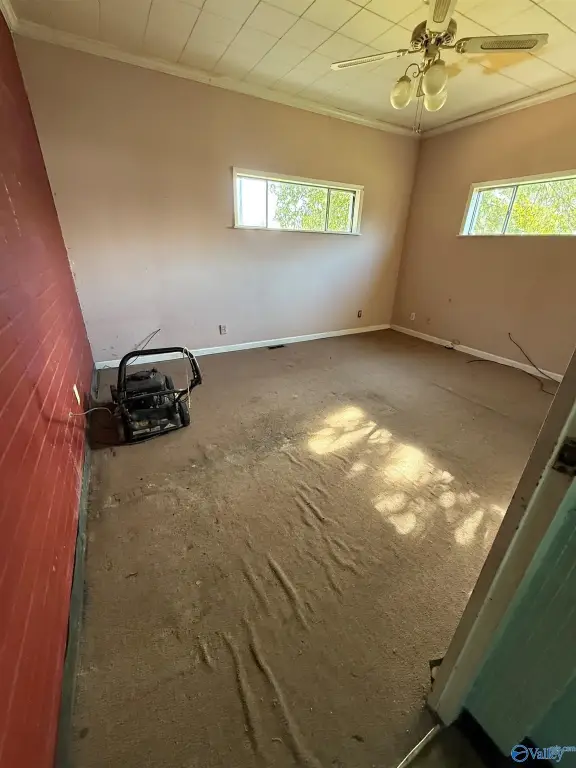 Picture 17