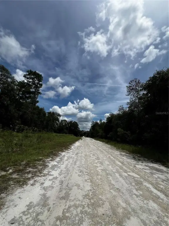 Picture 5