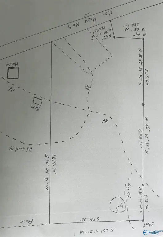 Picture 9