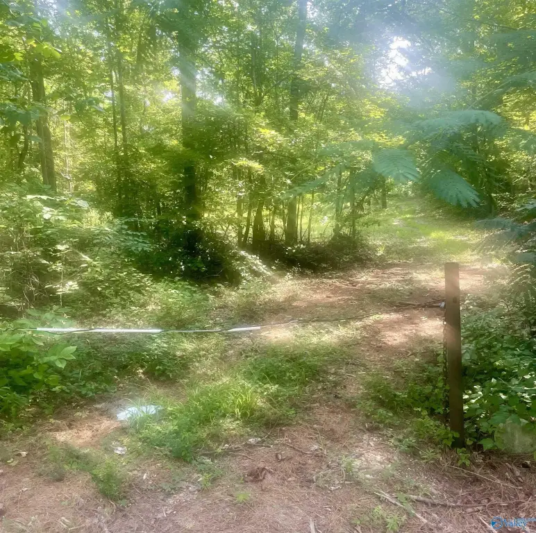 Picture 4