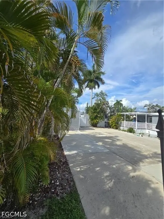 Picture 2