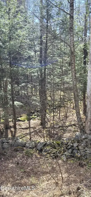 Picture 3