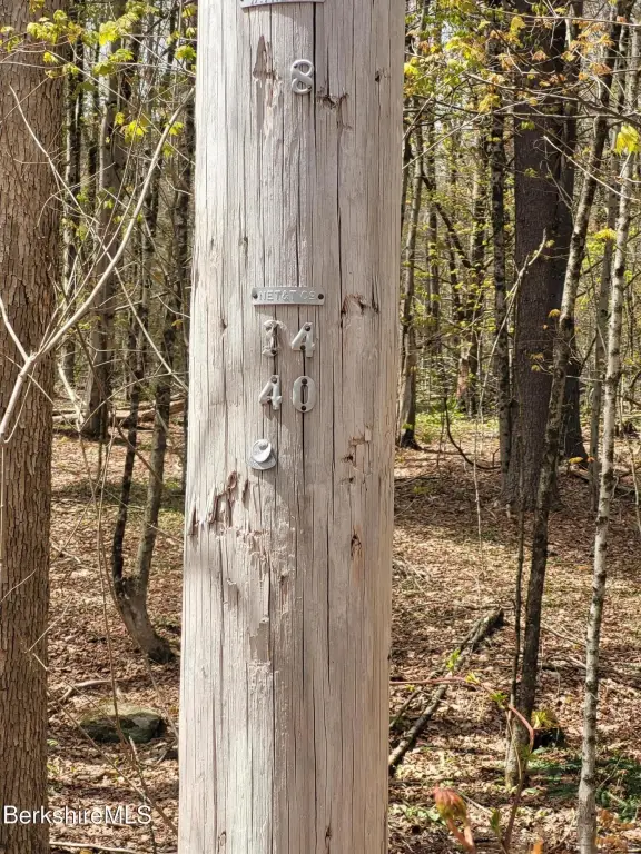 Picture 2